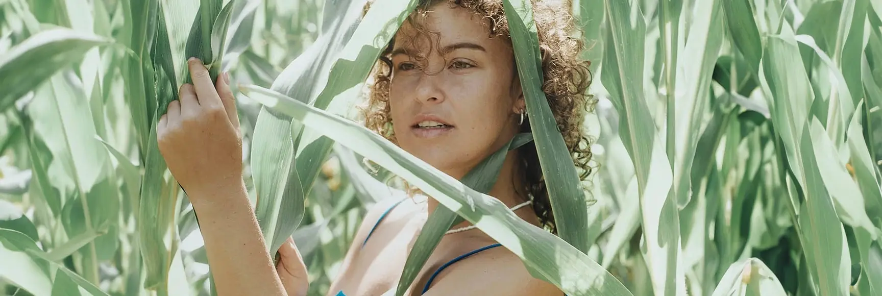 A model in a cornfield in a blue top