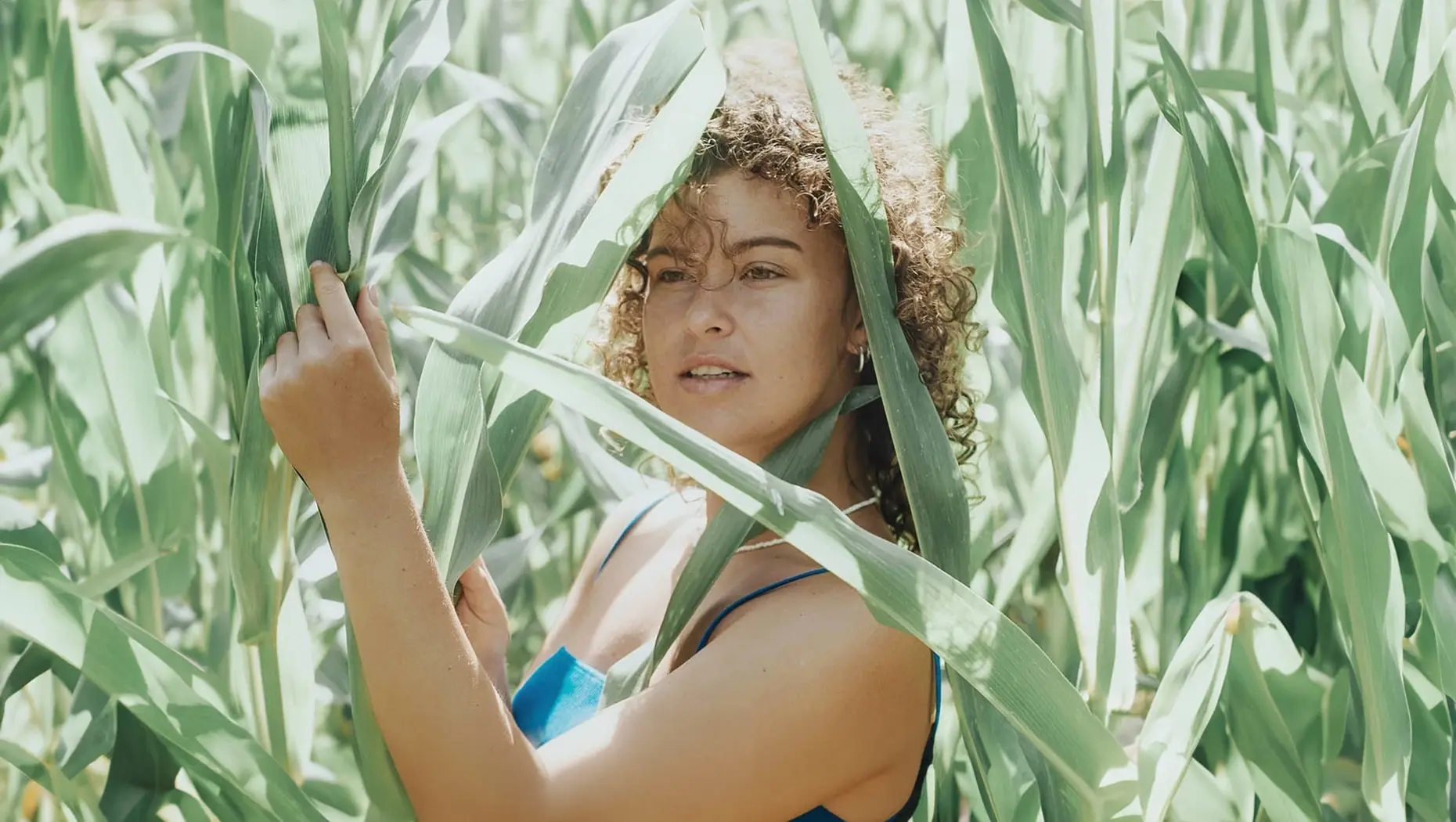 A model in a cornfield in a blue top