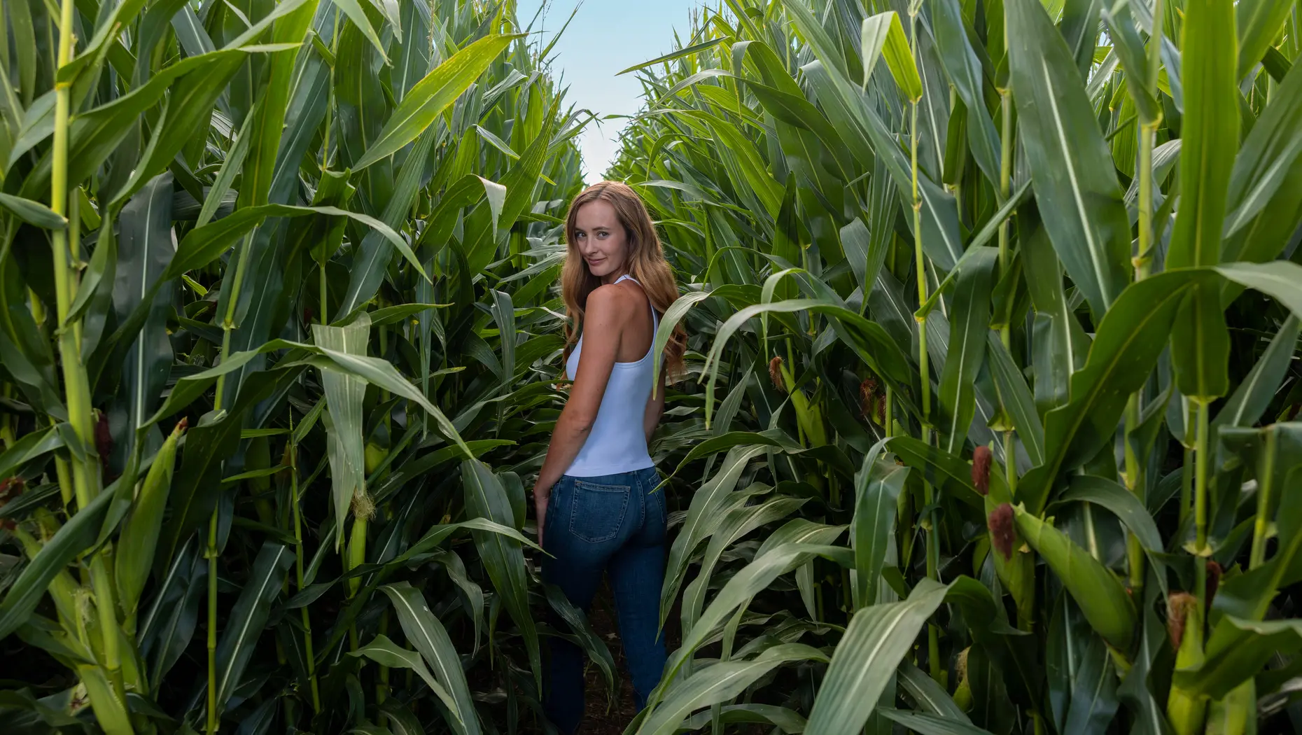 A model in a cornfield in a white top and blue jeans 